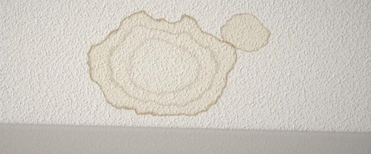 Foto: Wasserfleck an der Decke
